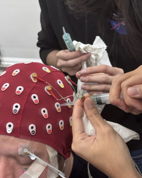 1768313878289 1768313878289